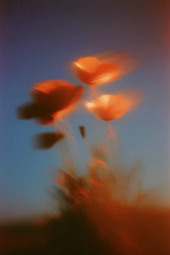 Ethereal Luminescent Motion style reference image — twilight gradient background