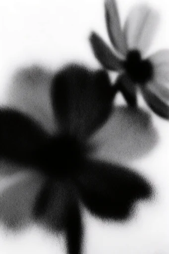 Gritty Monochromatic Noir style reference image — lo-fi noir aesthetic