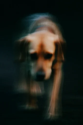 Kinetic Nocturnal Impressionism style reference image — melancholic atmosphere