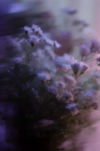 Spectral Nocturnal Blur style reference image — shaky camera effect