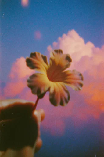 Cinematic Twilight Surrealism style reference image — glowing sunset palette