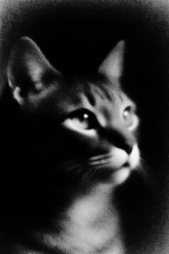 Visceral Spectral Noir style reference image — lo-fi noir texture