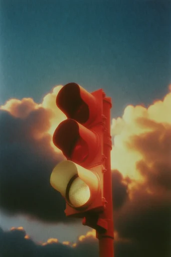Nostalgic Botanical Surrealism style reference image — vintage analogue color grading