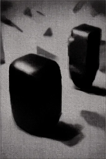 Gritty Analog Halftone style reference image — high-contrast monochrome