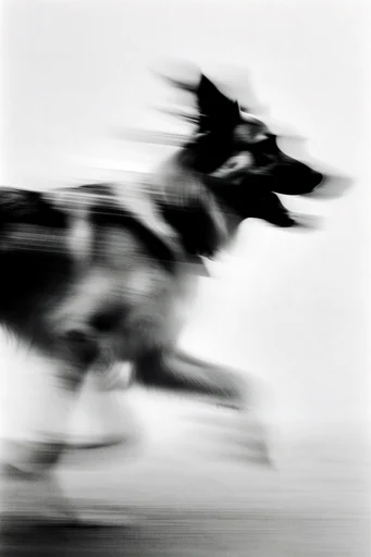 Spectral Motion Noir style reference image — cinematic chiaroscuro