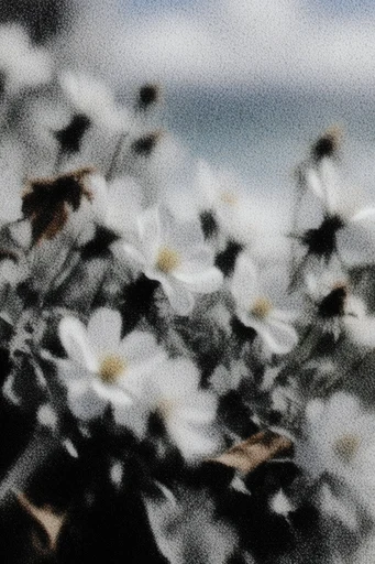 Granular Analog Noir style reference image — soft-focus mystery