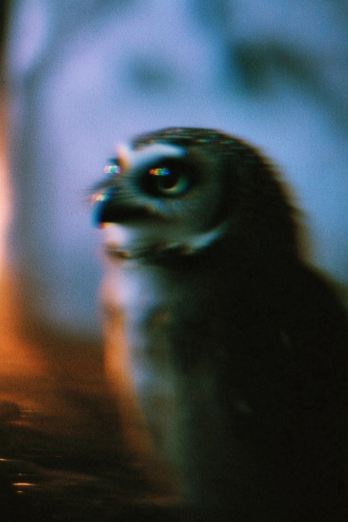 Ethereal Analog Nostalgia style AI image example 3