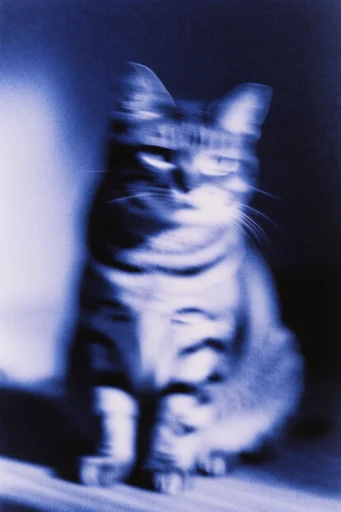 Ethereal Analog Dread style reference image — surreal nightmare