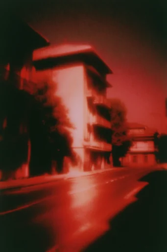 Crimson Noir Glitch style reference image — crimson and black monochrome
