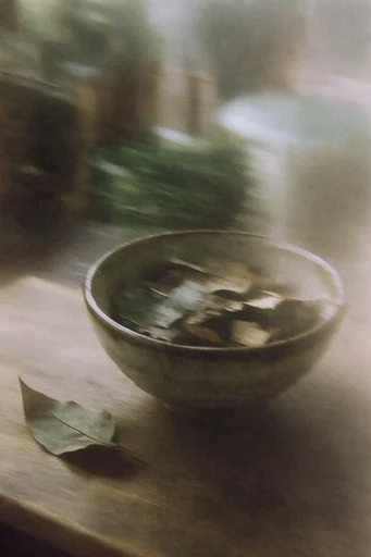 Ethereal Kinetic Impressionism style reference image — painterly motion blur