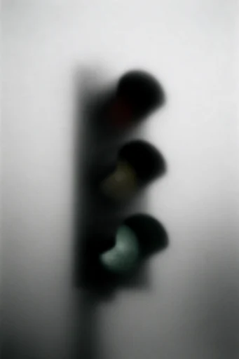 Ethereal Monochrome Noir style reference image — atmospheric monochrome