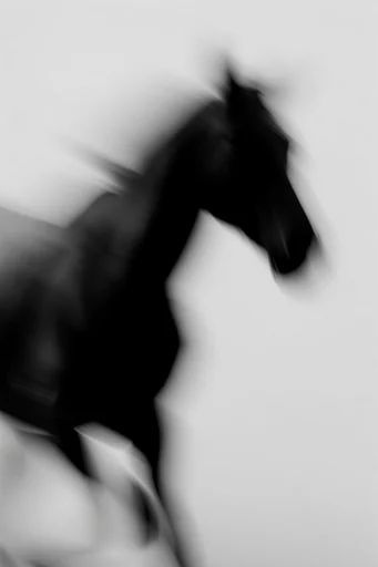 Ethereal Monochrome Kineticism style reference image — ghostly motion blur