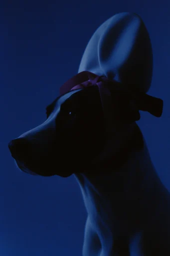 Cinematic Neon Noir style reference image — high-contrast silhouette