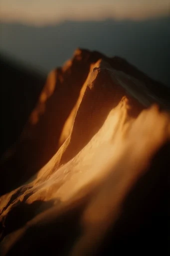 Intimate Amber Chiaroscuro style reference image — chiaroscuro lighting