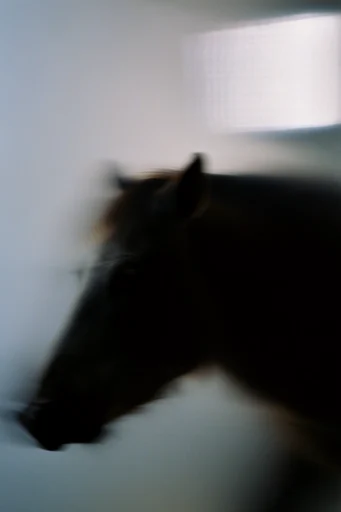 Cinematic Nocturnal Blur style reference image — low-key lighting