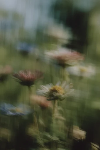 Ethereal Kinetic Impressionism style reference image — ethereal dreamcore