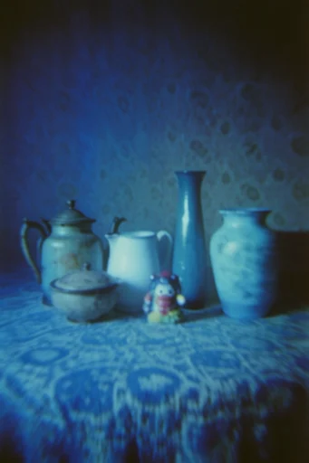 Ethereal Nocturnal Cyanotype style reference image — monochromatic film photography