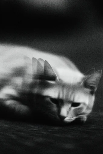 Spectral Noir Motion style reference image — ghostly double exposure