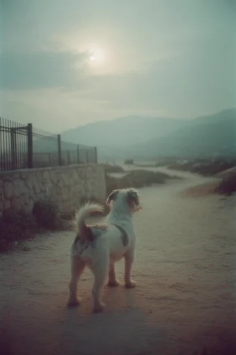 Atmospheric Analog Solitude style reference image — dreamlike memory