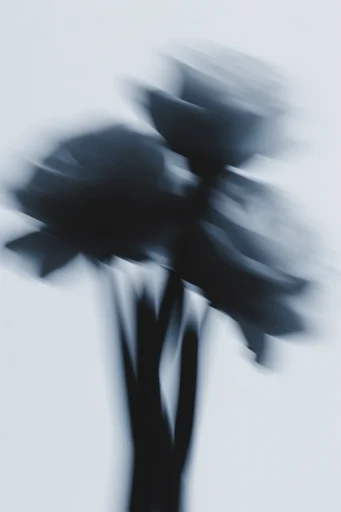 Kinetic Ghost Minimalism style reference image — long exposure portraiture