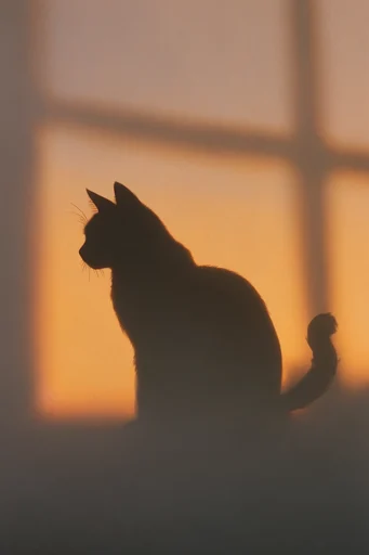 Amber Cinematic Shadowplay style reference image — analog film grain