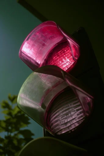Nocturnal Botanical Chiaroscuro style reference image — chiaroscuro lighting