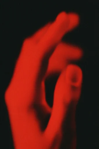 Crimson Noir Glitch style reference image — high-contrast noir