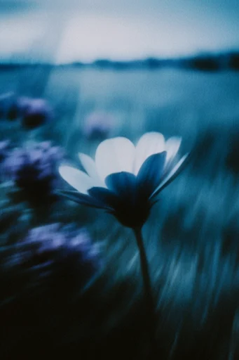 Kinetic Nocturnal Blur style reference image — ethereal ghosting
