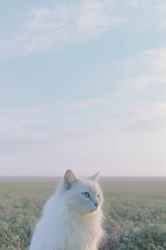 Ethereal Pastoral Nostalgia style reference image — soft-focus texture