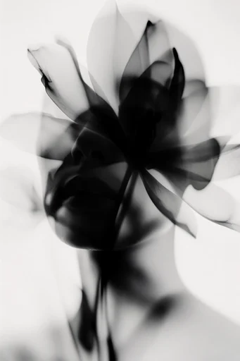 Ethereal Ink Minimalism style reference image — translucent layers