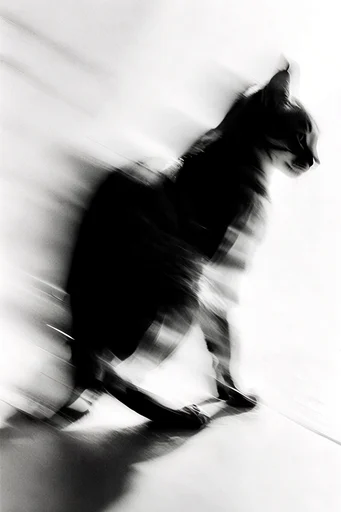Ethereal Monochrome Motion style reference image — minimalist surrealism