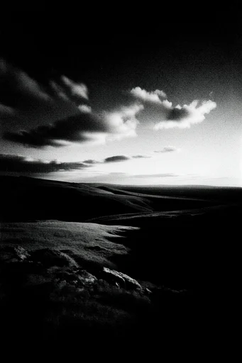Cinematic Chiaroscuro Noir style reference image — chiaroscuro lighting