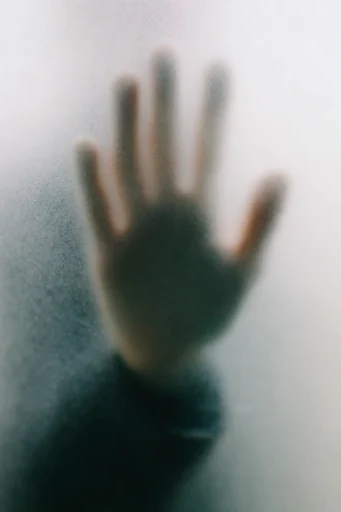 Ethereal Veiled Abstraction style reference image — soft focus photography