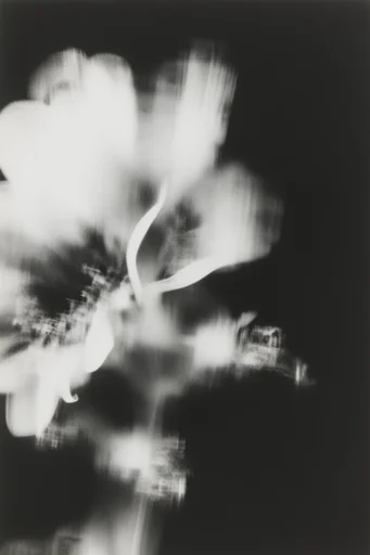 Spectral Monochrome Noir style reference image — charcoal texture