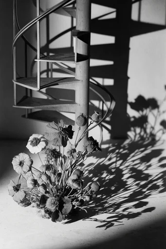 Monochromatic Brutalist Geometry style reference image — minimalist composition