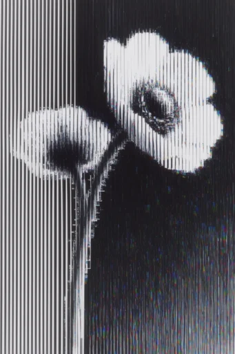 Synthetic Glitch Core style reference image — data bending