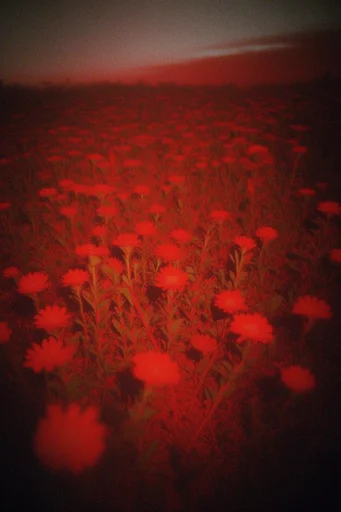 Crimson Nocturnal Void style reference image — eerie celestial landscape