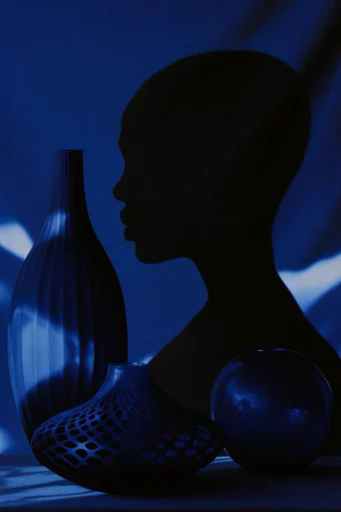 Nocturnal Liquid Silhouette style reference image — liquid light distortion