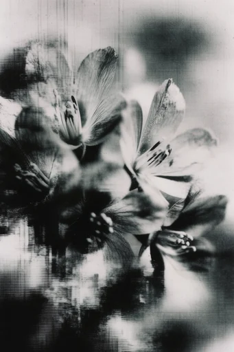 Analog Surveillance Noir style reference image — glitch distortion