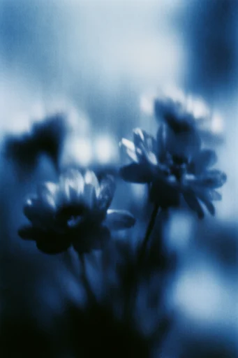 Ethereal Cyanotype Dreamscape style reference image — pictorialist photography