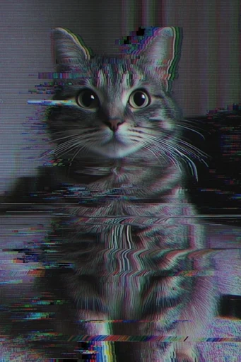 Corrupted Analog Nostalgia style reference image — datamoshing
