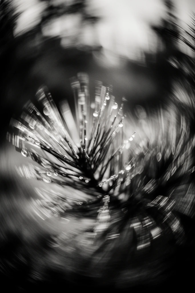 Monochrome Kinetic Vortex style AI image example 2
