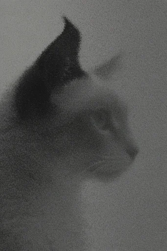 Atmospheric Monochromatic Noir style reference image — charcoal texture