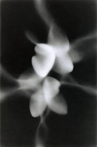 Monochrome Spectral Science style reference image — minimalist dark background