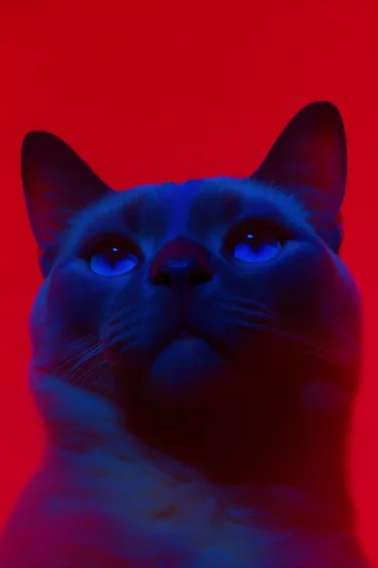 Chromatic Neon Noir style reference image — saturated red and blue