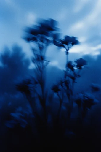 Spectral Cyan Motion style reference image — dreamlike atmosphere