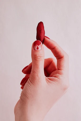 Crimson Tactile Minimalism style reference image — minimalist collage