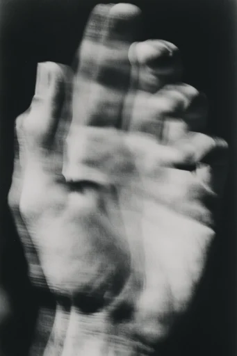 Gritty Monochromatic Surrealism style reference image — halftone photocopy texture