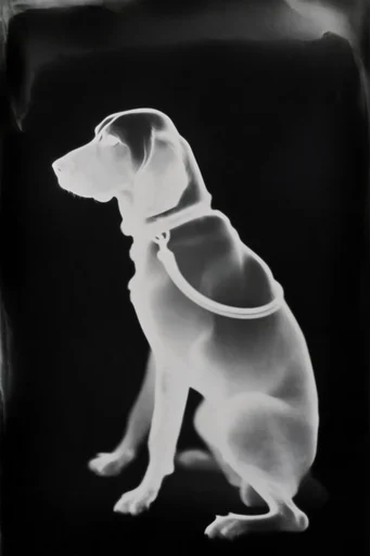 Experimental Monochrome Luminism style reference image — abstract shadow geometry