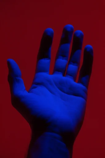 Chromatic Neon Noir style reference image — saturated red and blue
